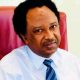 Former Kaduna Central Senator, Shehu Sani