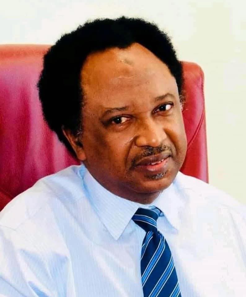 Former Kaduna Central Senator, Shehu Sani