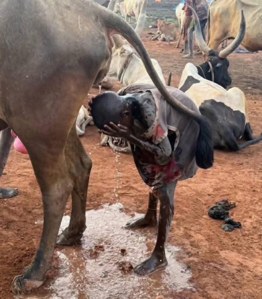 A moment an unidentified young man spotted bathing in Cow Urine
