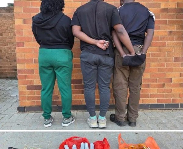 Police Arrest Three Over Alleged Explosives Plot Linked To Cash-In-Transit Heist In Free State