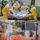 Ebola virus