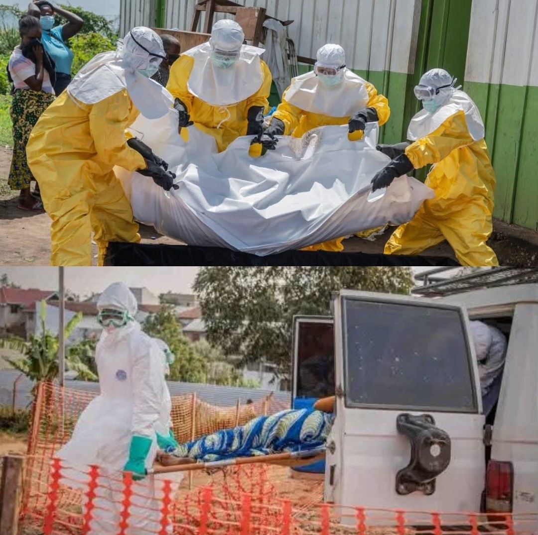 Ebola virus